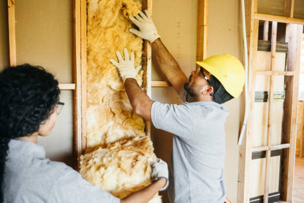 Insulation Contractors for Homes in Winthrop, IA