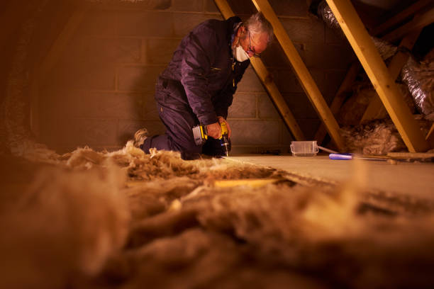 Best Insulation Repair Services  in Winthrop, IA